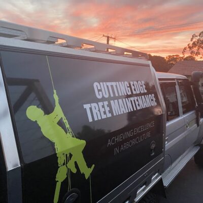 Cutting Edge Tree Maintenance