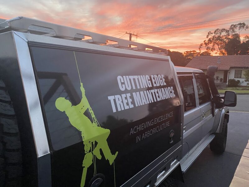 Cutting Edge Tree Maintenance