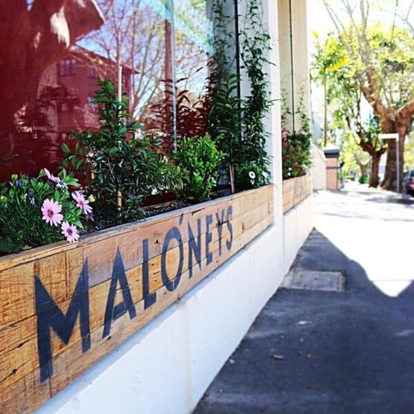 Maloneys Grocer - Woollahra