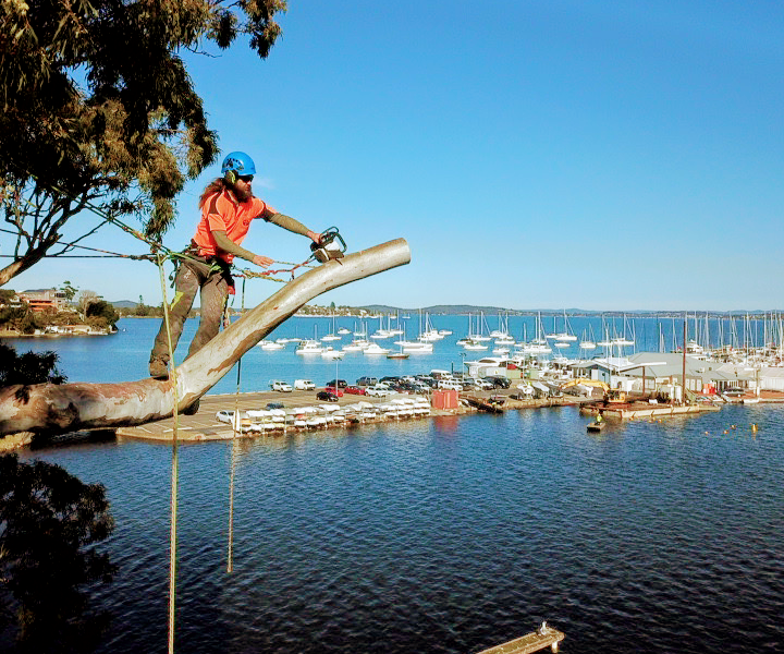 Cutting Edge Tree Maintenance