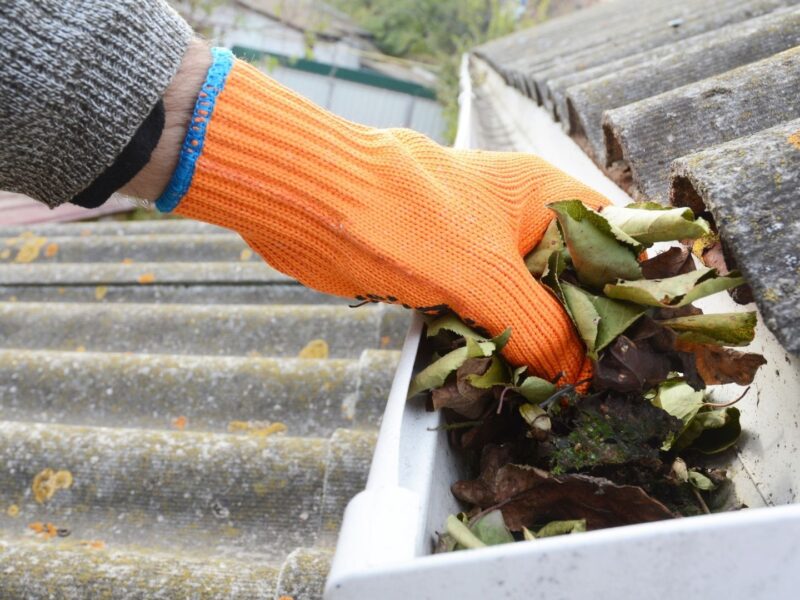 Sydney Gutter Clean