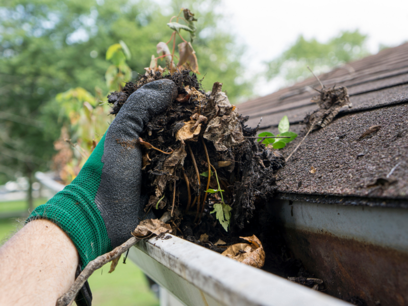 Sydney Gutter Clean