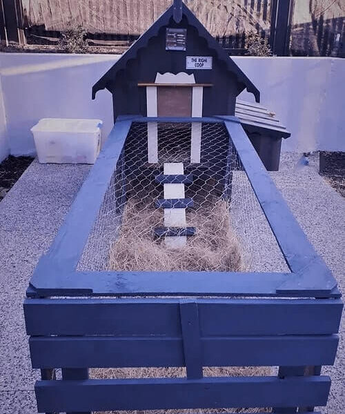 My Cosy Coop