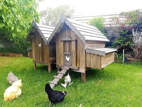 My Cosy Coop
