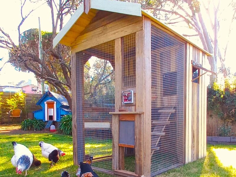My Cosy Coop
