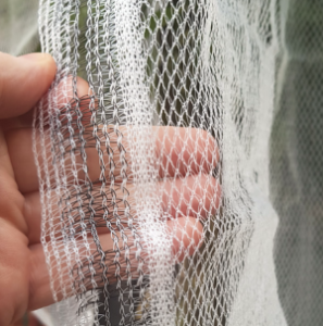 Oxley Nets Pty Ltd