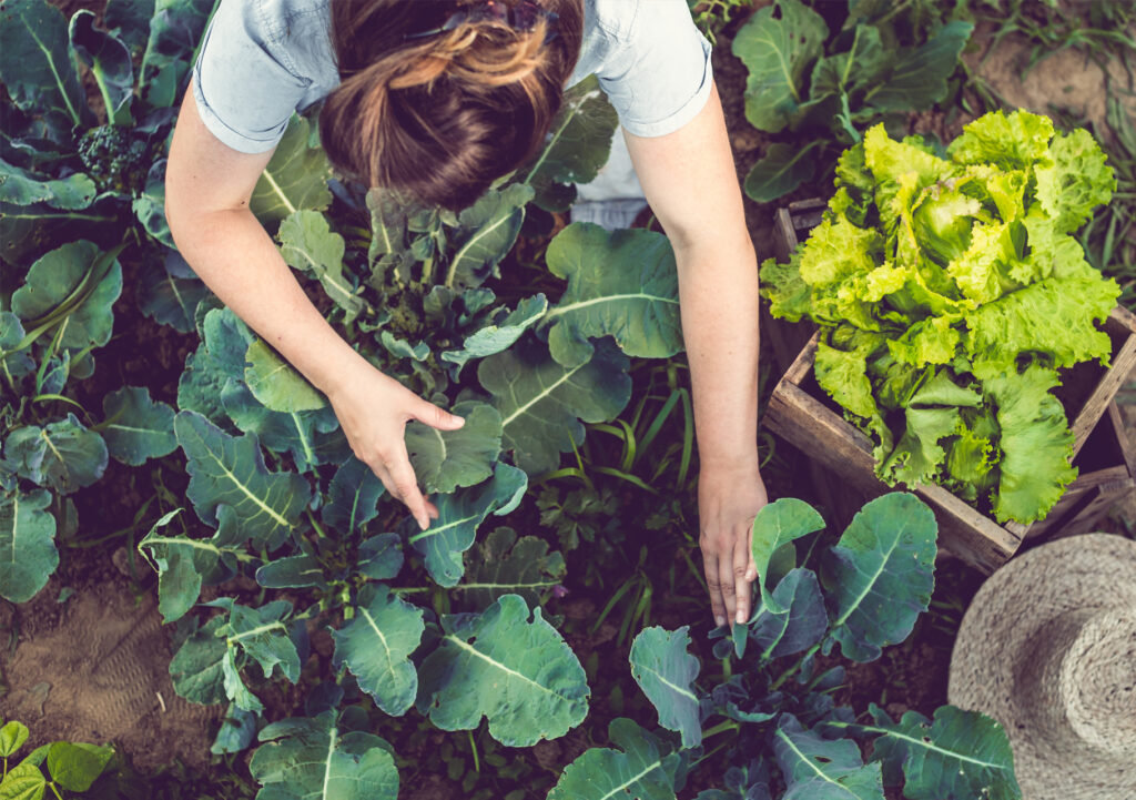 Fresh organic produce and healthier food options at a Sydney supermarket