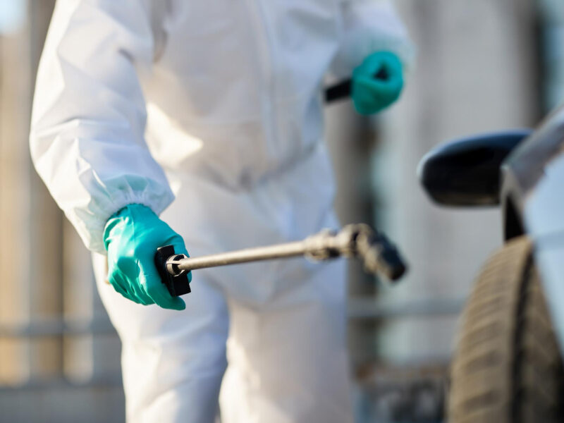 Ace Termite Solutions - Termite Inspection Ferntree Gully