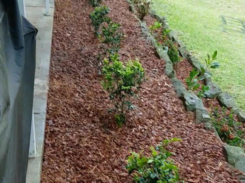 Gardening in Sydney - AAA Able Abaca Gardening & Landscaping