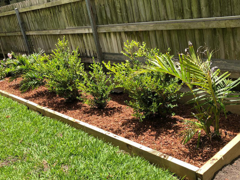 Gardening in Sydney - AAA Able Abaca Gardening & Landscaping
