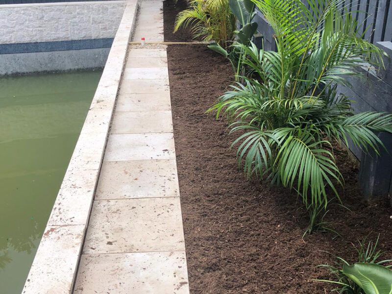 Gardening in Sydney - AAA Able Abaca Gardening & Landscaping