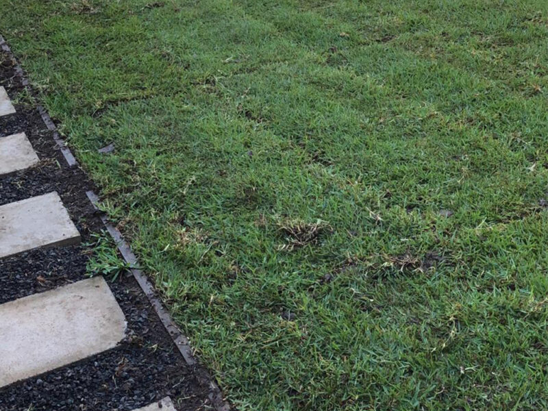 Gardening in Sydney - AAA Able Abaca Gardening & Landscaping