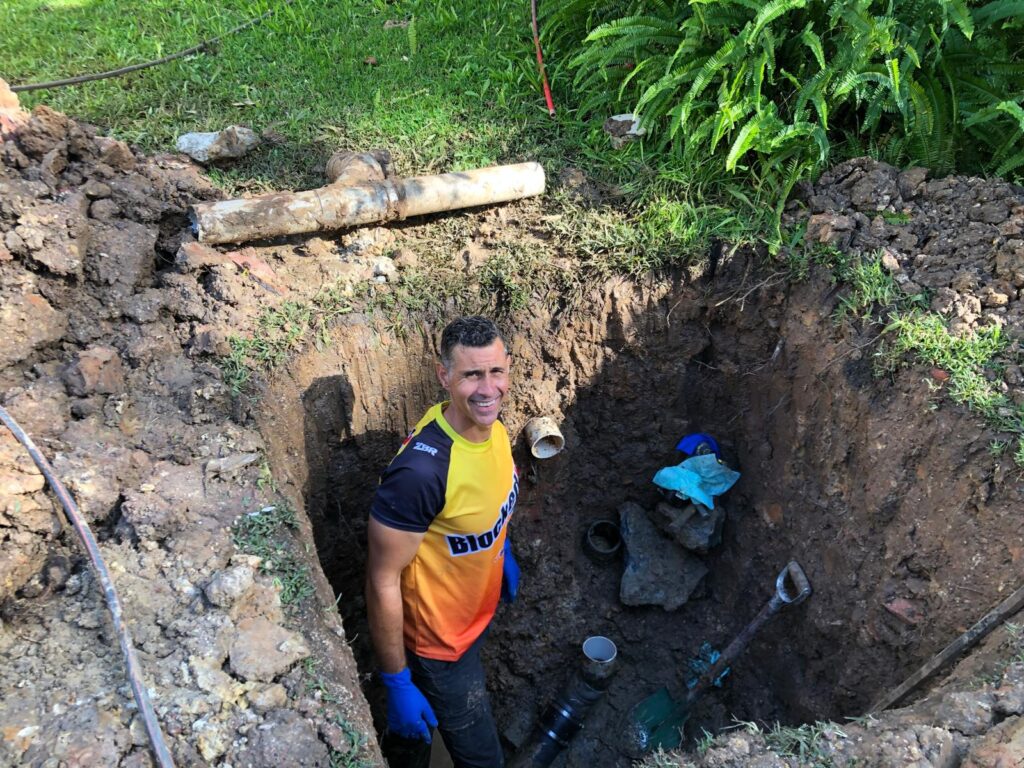 Tree roots growing inside a damaged sewer pipe