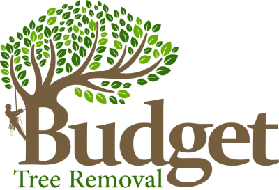 Budget Tree Removal